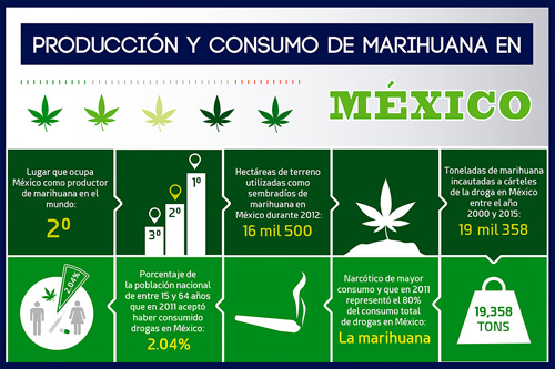 Producción y consumo de marihuana en México